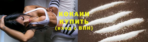 гидра Заволжск